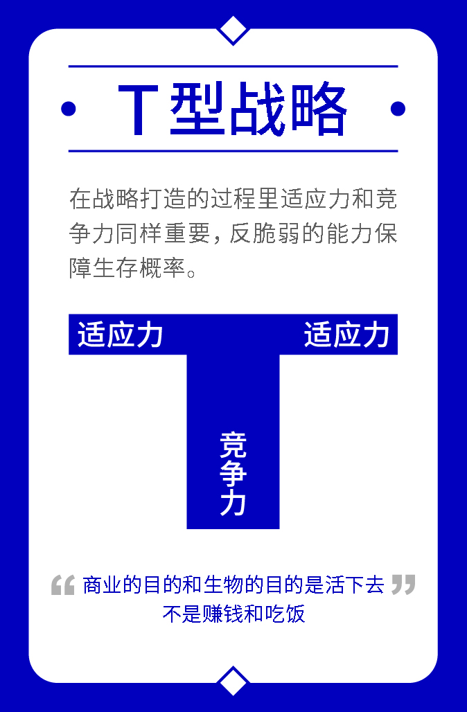 T型战略图示，展示竞争力为纵轴，适应力为横轴，强调企业生存需要兼顾两种能力。