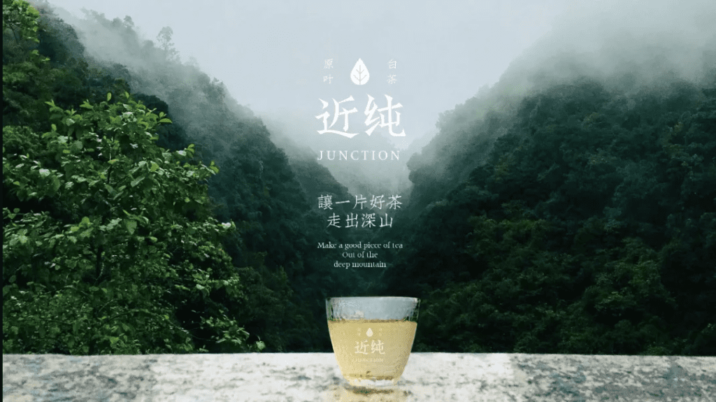 鲸湃咨询商业案例：近纯白茶