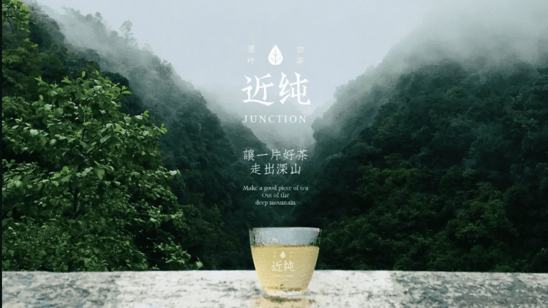 鲸湃咨询商业案例：近纯白茶