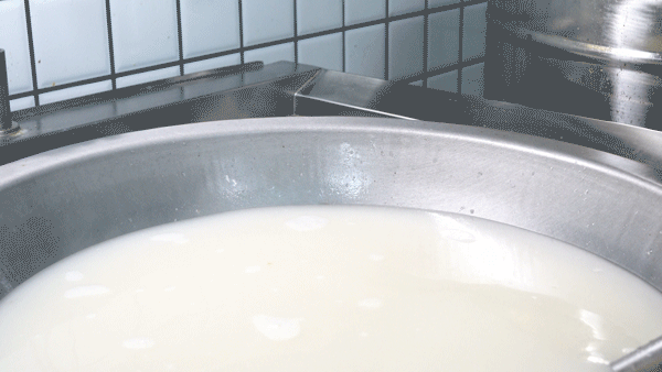 鲸湃咨询商业案例：廖新林乌鸡米粉