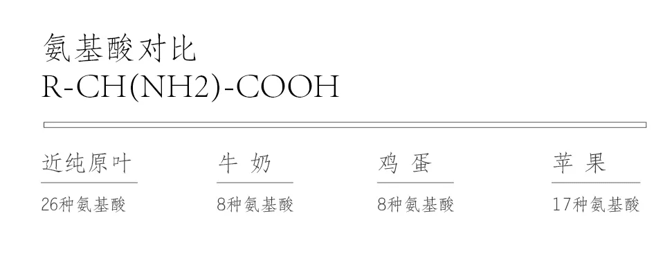 鲸湃咨询商业案例：近纯白茶