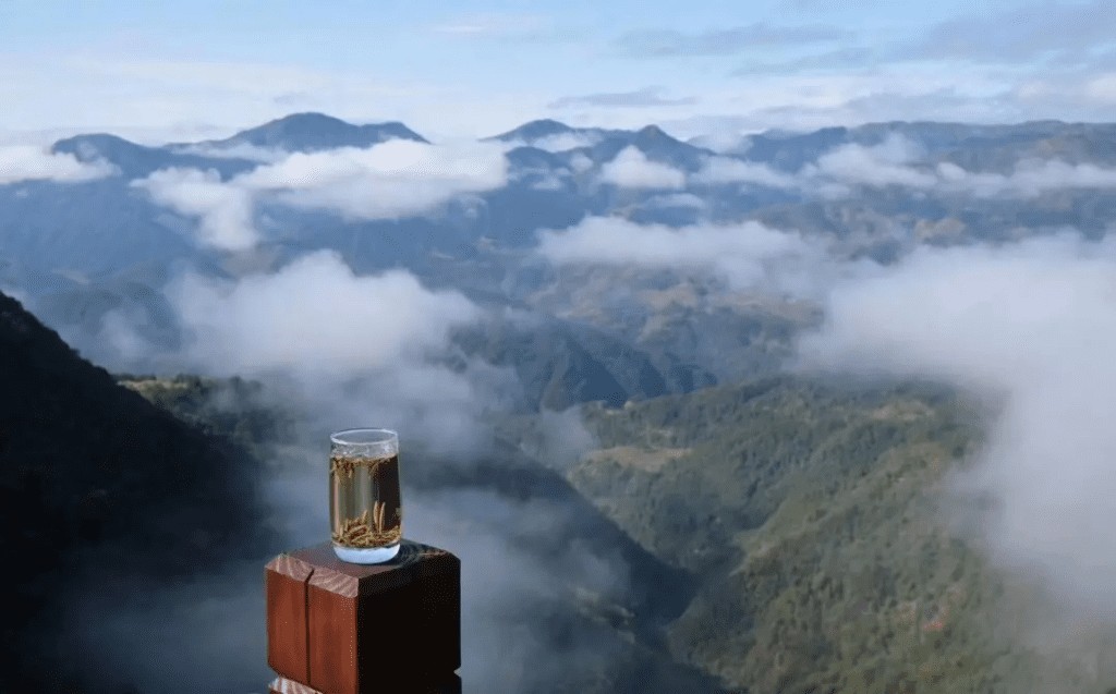 鲸湃咨询商业案例：近纯白茶