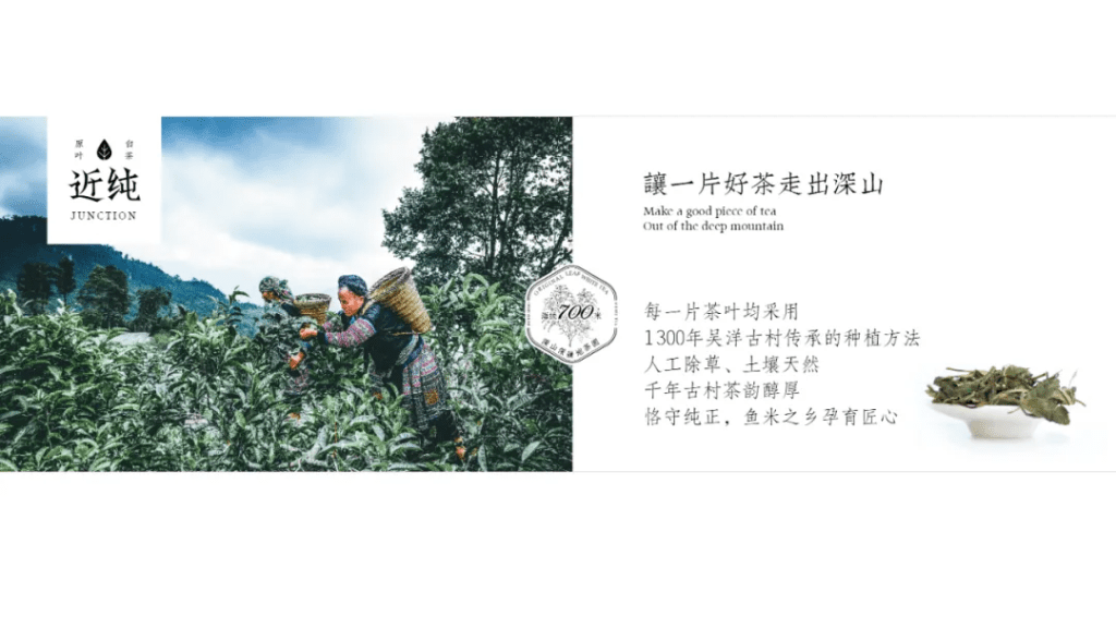 鲸湃咨询商业案例：近纯白茶