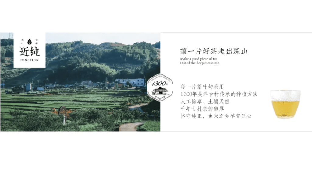 鲸湃咨询商业案例：近纯白茶
