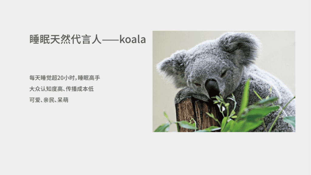 鲸湃咨询商业案例：好视力