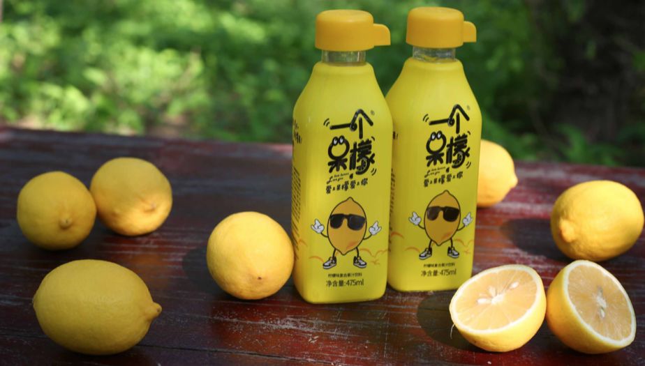 鲸湃咨询商业案例：一个呆檬