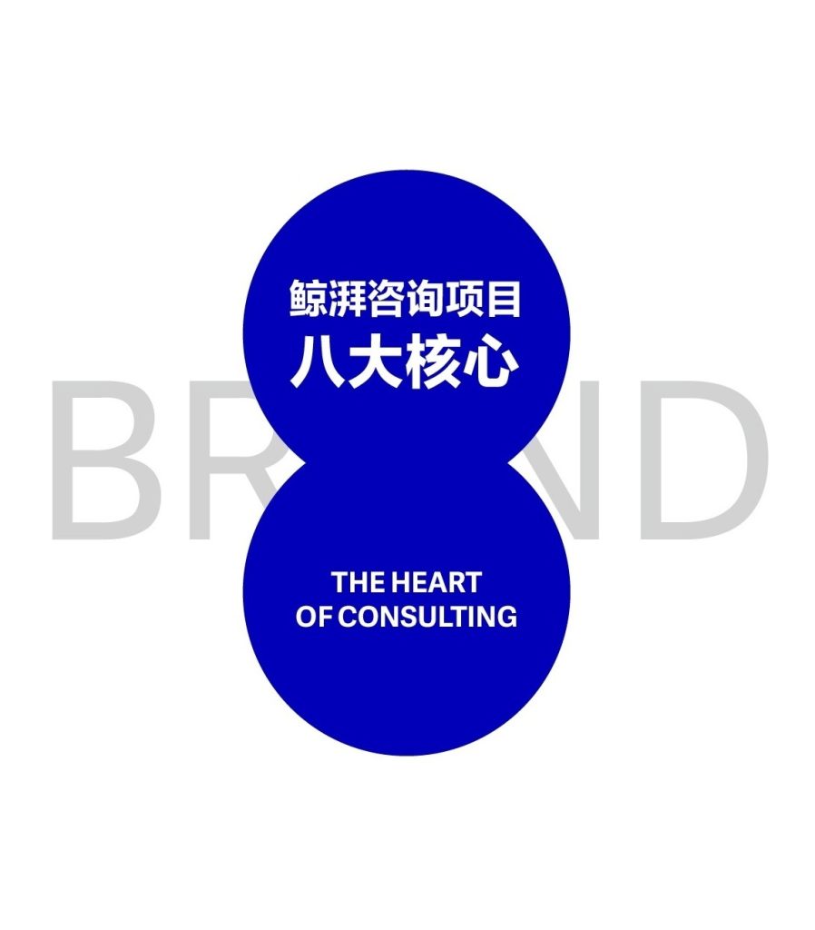 鲸湃咨询项目八大核心PC